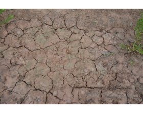 Akrylowa imitacja mokrej popękanej ziemi (Wet Crackle Effects) 100ml | AK8034