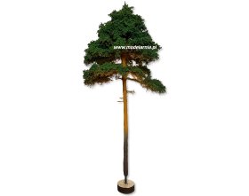Drzewko Sosna Młoda Makieta Diorama 330mm | SOM4 