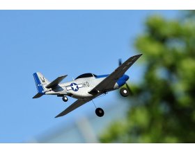 Mini Mustang P51D Scaled Warbird Airplane niebieski RTF (450mm) | TOP097B01 TOP RC HOBBY