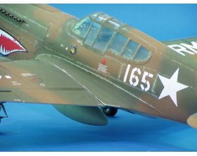 P-40E Warhawk ARF (1357mm)