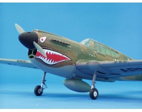 P-40E Warhawk ARF (1357mm)