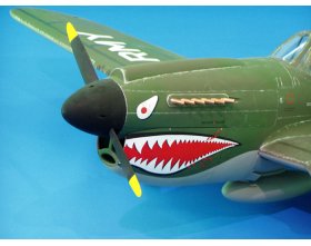 P-40E Warhawk ARF (1357mm)