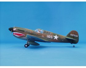 P-40E Warhawk ARF (1357mm)