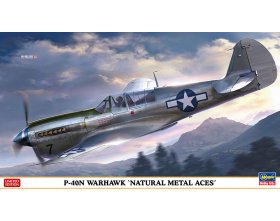 P-40N Warhawk \'Natural Metal Aces\' 1:48 | 07516 HASEGAWA