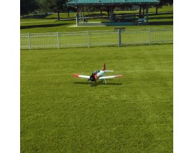 RealFlight Evolution RC Symulator Lotniczy (software) | RFL2001 REAL FLIGHT
