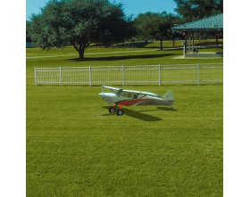 RealFlight Evolution RC Symulator Lotniczy (software) | RFL2001 REAL FLIGHT