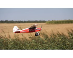 Samolot Multiplex Pacer ARF 1150mm | 1-02783 MULTIPLEX