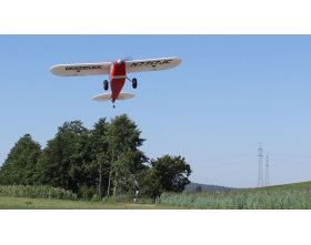 Samolot Multiplex Pacer ARF 1150mm | 1-02783 MULTIPLEX