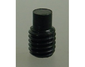 Śruba (pin, bez łebka, torx) M5x8mm 15szt. - FG 6930/08